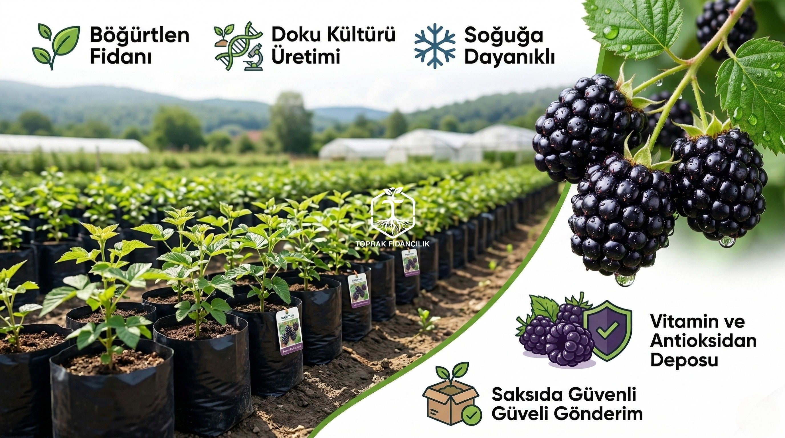 slider image slider_item_dHHwLH