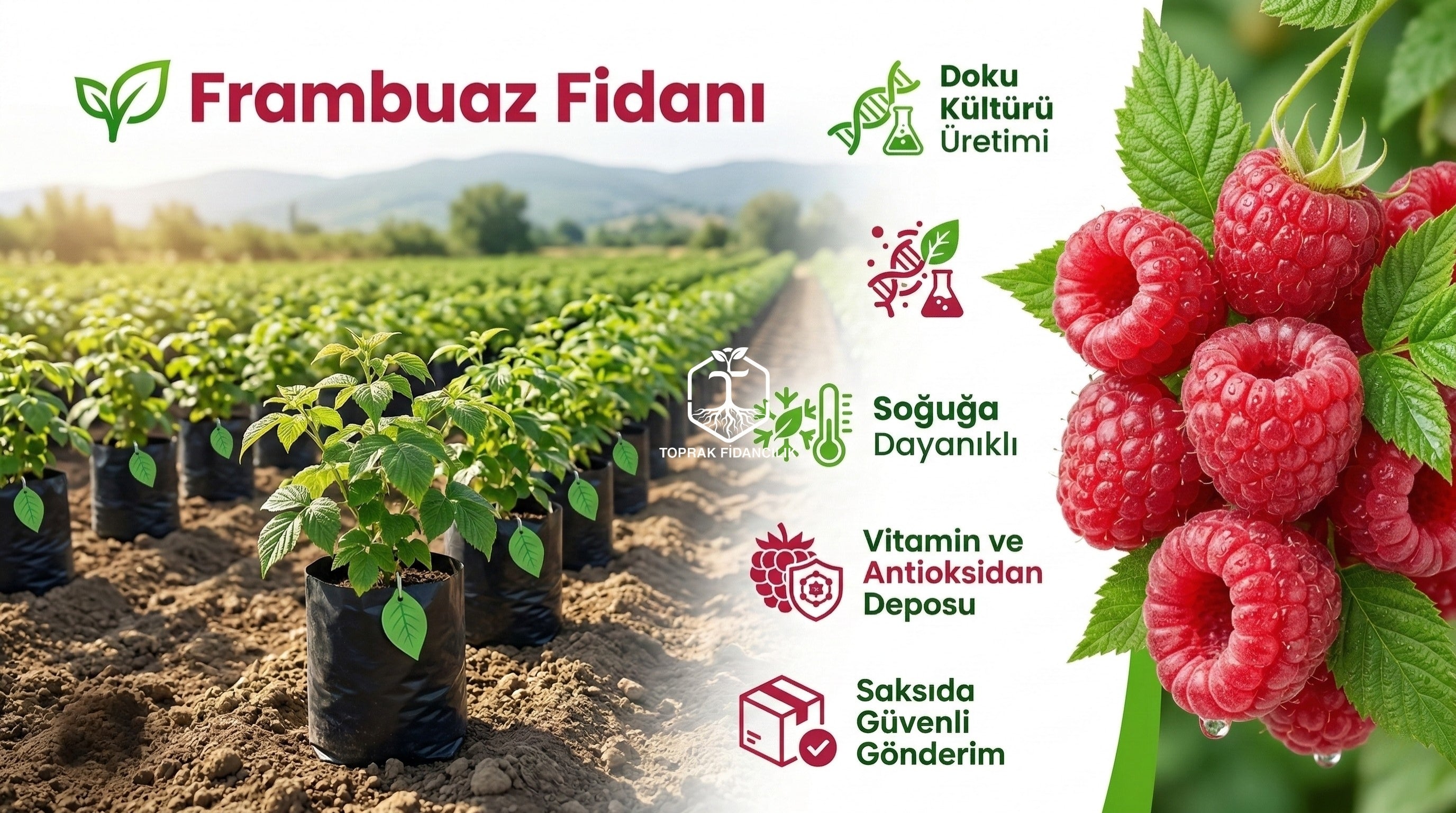 slider image slider_item_rECxd7