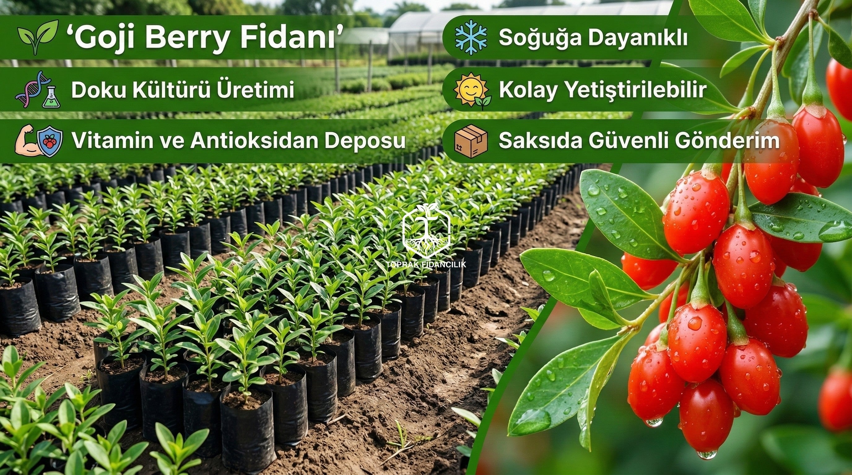 slider image 1621243260e1af0c20-2