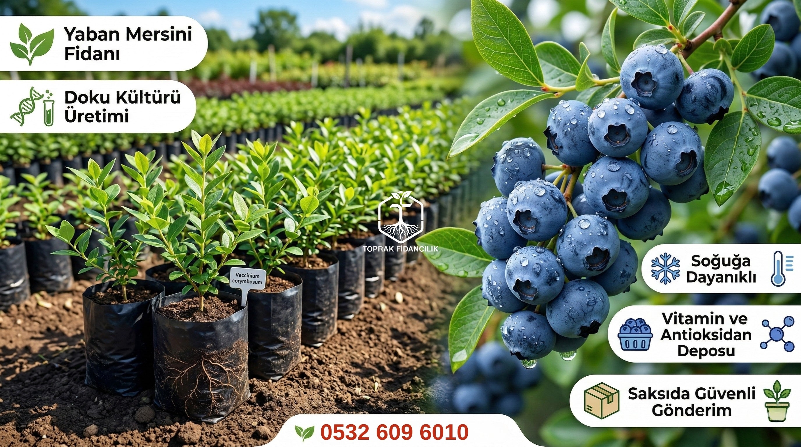 slider image 1621243260e1af0c20-0