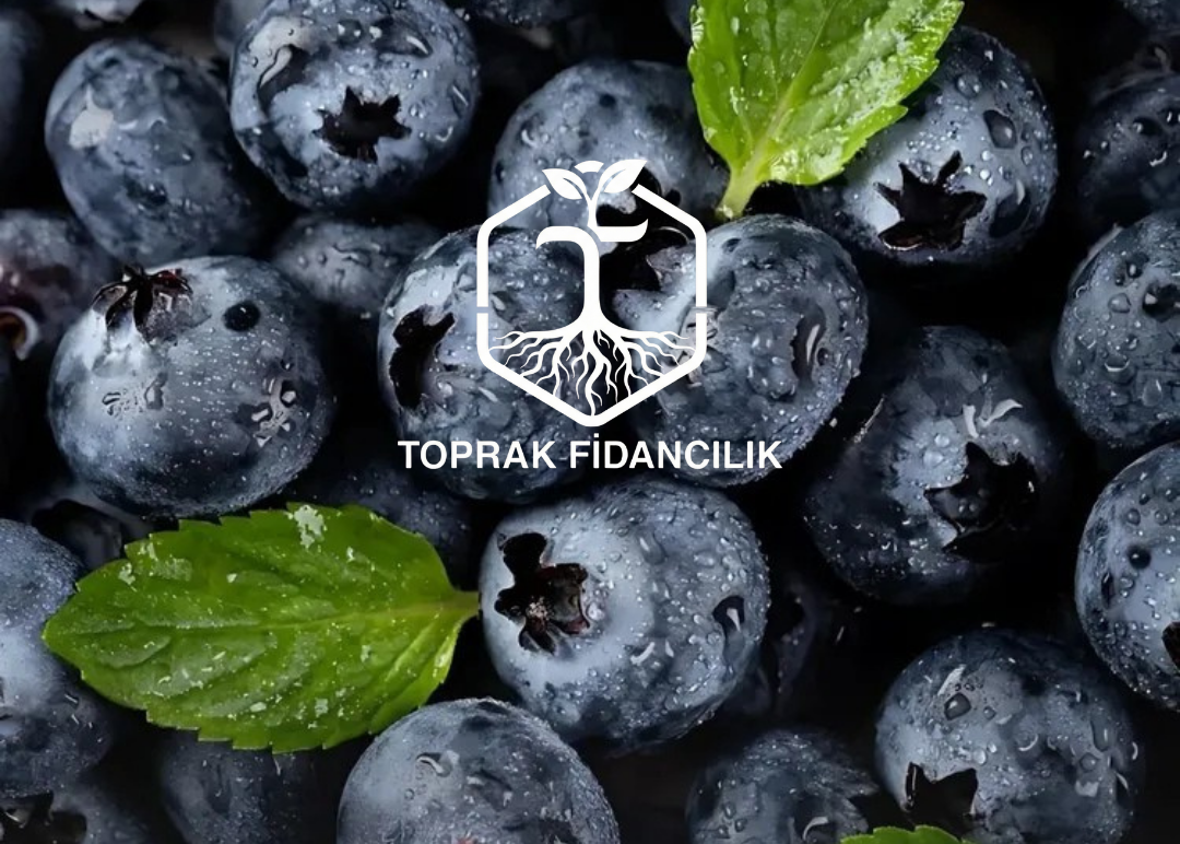 slider image 1621243260e1af0c20-2